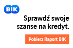 analizator kredytowy BIK