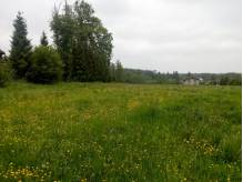 ox_sprzedam-dzialki-budowlane-w-zamarskach