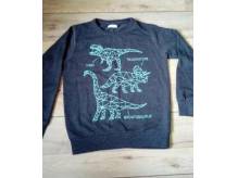 ox_bluza-w-dinozaury-rozmiar-110116
