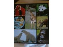 ox_encyklopedia-od-a-do-z