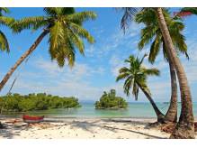 ox_plaze-jak-z-bajkiwspaniala-przyroda-i-lemury-madagaskar