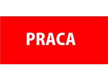 ox_praca-w-sklepie-z-telefonami-komorkowymi-skoczow-galeria-pledan