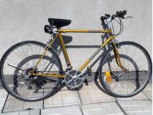 ox_rower-colnago