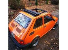 ox_falldach-twingo