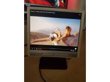 ox_monitor-17-cali-benq-q7c3-lcd