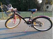 ox_rower-24-cale-damka