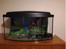 ox_sprzedam-akwarium-45l-zaokraglane