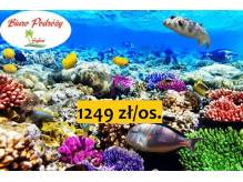 ox_last-minute-egipt-1504-2204-z-ktw-w-super-cenie-1249-zlos
