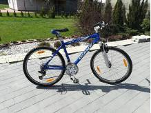 ox_rower-giant