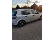 ox_sprzedam-opla-astre