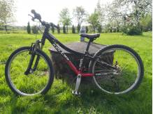 ox_rower-dzieciecy-kellys