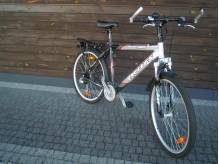ox_rower-kellys-spider