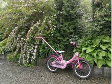 ox_rower-kola-16