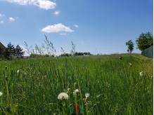 ox_skoczow-miedzyswiec-morawiny-dzialka-budowlano-rolna-1338m2