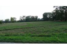 ox_nowo-wydzielone-dzialki-budowlane-w-drogomyslu-ulmodrzewiowa