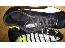 ox_korki-puma-eurospeed
