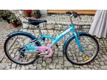 ox_rower-dziewczecy-24