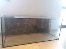 ox_akwarium-terrarium-120x50x50