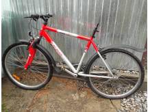 ox_rower-gorski-texo