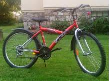 ox_rower-smart-road