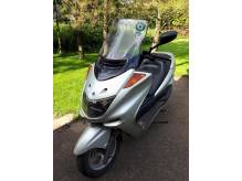 ox_yamaha-magesty