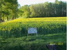 ox_sprzedam-piekna-dzialke-budowlano-rolna-38a