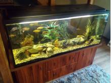 ox_akwarium-450l-plus-szafka