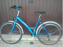 ox_rower-26-cali