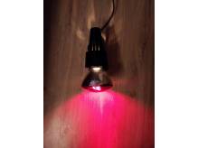 ox_lampa-lecznicza