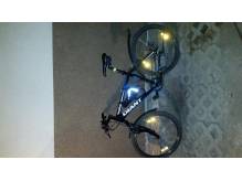 ox_rower-giant-boulder