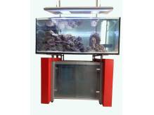 ox_akwarium-morskie-600l-kompletne