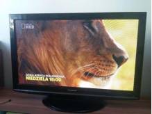 ox_panasonic-telewizor