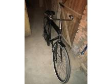 ox_rower-z-holandii