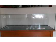 ox_akwarium-150cm
