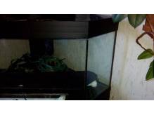 ox_akwarium-rogowe-300l-z-wyposarzeniem