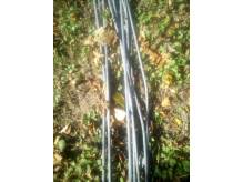 ox_sprzedam-prety-zbrojeniowe