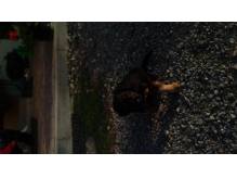 ox_oddam-w-dobre-rece