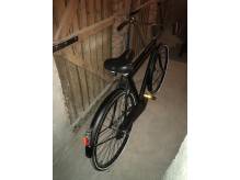 ox_rower-holenderski