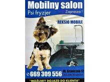 ox_fryzjer-dla-psow-profesjonalny-groomer-mozliwosc-dojazdu-do-klienta