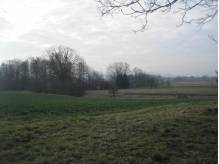 ox_piersciec-dzialka-budowlana-na-sprzedaz
