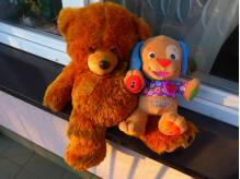 ox_szczeniaczek-uczniaczek-fisher-price-i-ogromny-pluszowybrazowy-mis