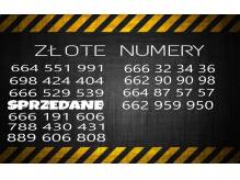 ox_zloty-numer-dla-przedstawicieli-i-nie-tylko