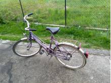 ox_rower