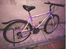 ox_oddam-rower