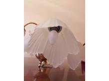 ox_lampa-piecioramienna-na-sufit-70-zl