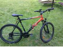 ox_rower-active-stlouis