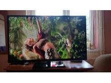 ox_panasonic-50-calowy-telewizor-led