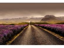ox_islandia-lodowce-gejzery-i-wulkany