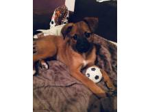 ox_mala-baby-szuka-domu
