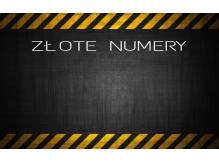 ox_zloty-numer-baner-wizytowka-etc-dla-firm-i-priv
